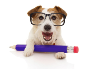 Printed Training Manuals - dog holding a pencil